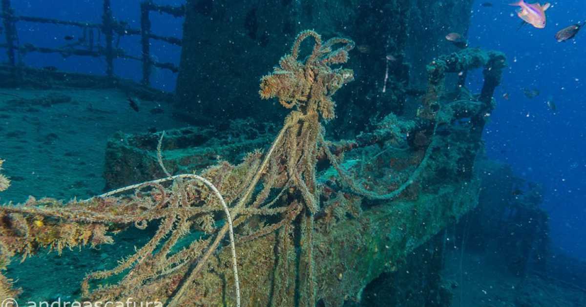 Navi, pescherecci e sommergibili: viaggio tra i relitti che giacciono sul fondo del mare